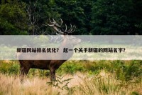 新疆网站排名优化？ 起一个关于新疆的网站名字？