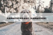 大连网站开发公司专业选仟（大连网站开发费用）