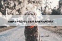 大连网站开发公司专业选仟（大连网站开发费用）