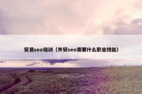 贸易seo培训（外贸seo需要什么职业技能）