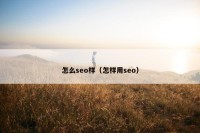 怎么seo样（怎样用seo）