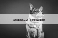 大兴亚马逊seo？ 北京亚马逊公司？