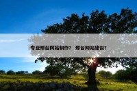 专业邢台网站制作？ 邢台网站建设？