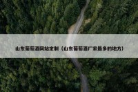 山东葡萄酒网站定制（山东葡萄酒厂家最多的地方）