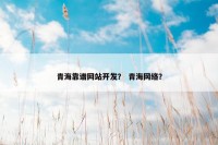 青海靠谱网站开发？ 青海网络？