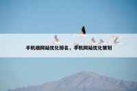 手机端网站优化排名，手机网站优化策划