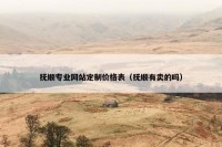 抚顺专业网站定制价格表（抚顺有卖的吗）