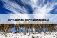 房产中介网站源码（房产中介网站源码是什么）
