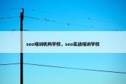 seo培训机构学校，seo实战培训学校