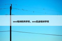 seo培训机构学校，seo实战培训学校