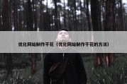 优化网站制作干花（优化网站制作干花的方法）