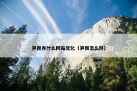 笋岗有什么网站优化（笋岗怎么样）