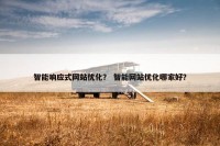 智能响应式网站优化？ 智能网站优化哪家好？