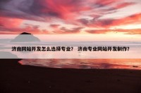 济南网站开发怎么选择专业？ 济南专业网站开发制作？