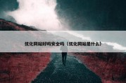 优化网站好吗安全吗（优化网站是什么）