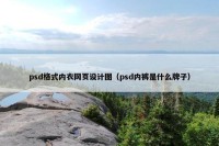 psd格式内衣网页设计图（psd内裤是什么牌子）