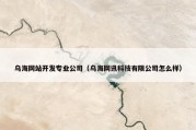 乌海网站开发专业公司（乌海网讯科技有限公司怎么样）