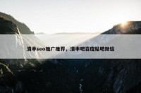 清丰seo推广推荐，清丰吧百度贴吧微信