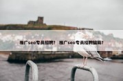 推广seo专员招聘？ 推广seo专员招聘骗局？