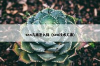 seo方案怎么样（seo技术方案）