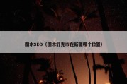 图木SEO（图木舒克市在新疆哪个位置）
