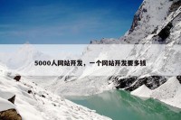 5000人网站开发，一个网站开发要多钱