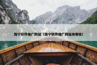 西宁软件推广网站（西宁软件推广网站有哪些）