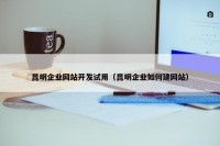 昆明企业网站开发试用（昆明企业如何建网站）