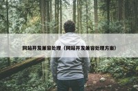 网站开发兼容处理（网站开发兼容处理方案）