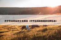开平专业网站优化有哪些（开平在线销售最新招聘信息）