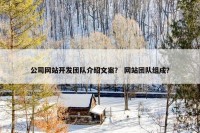 公司网站开发团队介绍文案？ 网站团队组成？