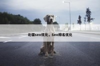 北疆seo优化，Seo排名优化