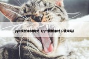 ppt模板素材网站（ppt模板素材下载网站）