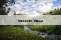 宜春源码建站？ 宜春app？