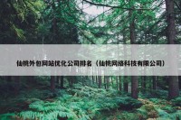 仙桃外包网站优化公司排名（仙桃网络科技有限公司）