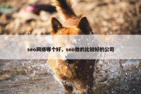 seo网络哪个好，seo做的比较好的公司