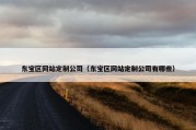 东宝区网站定制公司（东宝区网站定制公司有哪些）