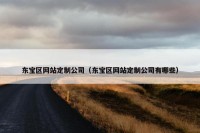 东宝区网站定制公司（东宝区网站定制公司有哪些）