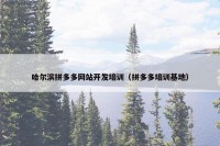 哈尔滨拼多多网站开发培训（拼多多培训基地）