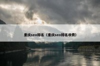 重庆seo排名（重庆seo排名收费）