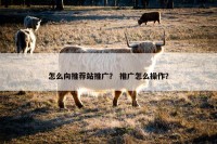 怎么向推荐站推广？ 推广怎么操作？