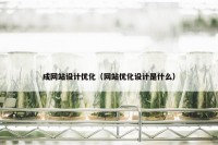 成网站设计优化（网站优化设计是什么）