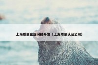 上海质量企业网站开发（上海质量认证公司）