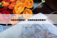 河南怎样建网站？ 河南网站建设哪里好？