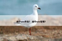 南宁seo外包？ 南宁seo管理？