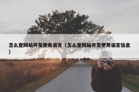 怎么查网站开发使用语言（怎么查网站开发使用语言信息）