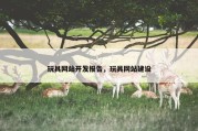 玩具网站开发报告，玩具网站建设