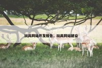 玩具网站开发报告，玩具网站建设