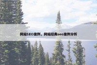 网站SEO案例，网站经典seo案例分析