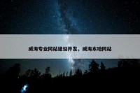 威海专业网站建设开发，威海本地网站